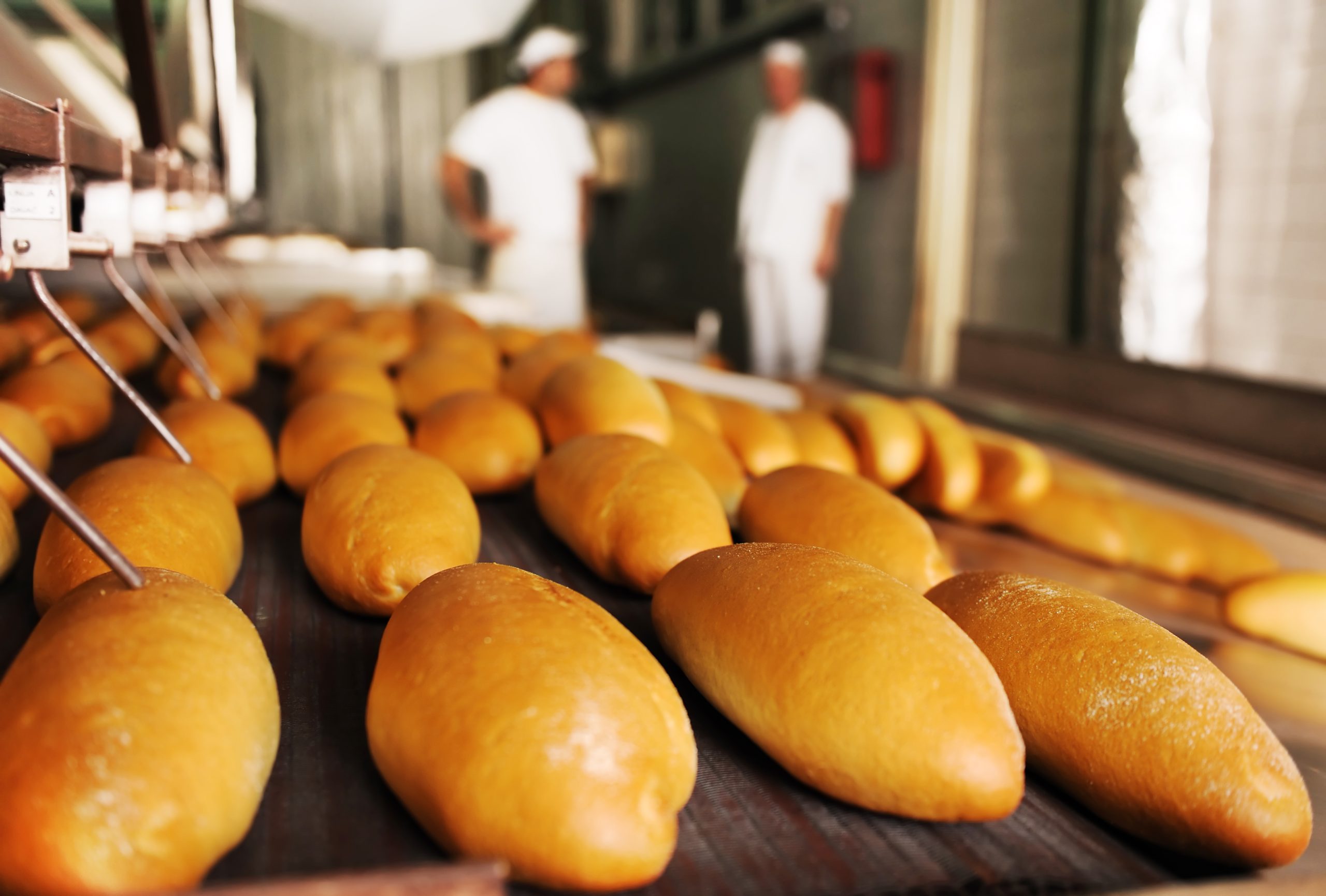Income Tax (Deduction for Investment in Approved New Food Production Project) Rules 2022
