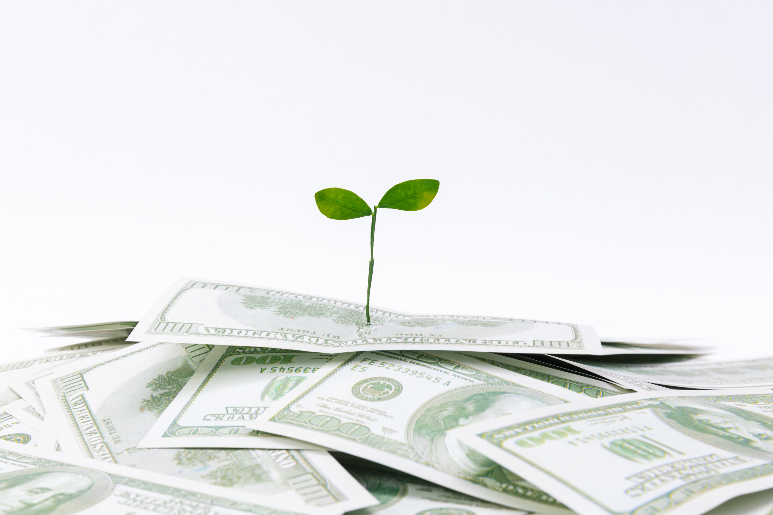 pioneer status or investment tax allowance malaysia
